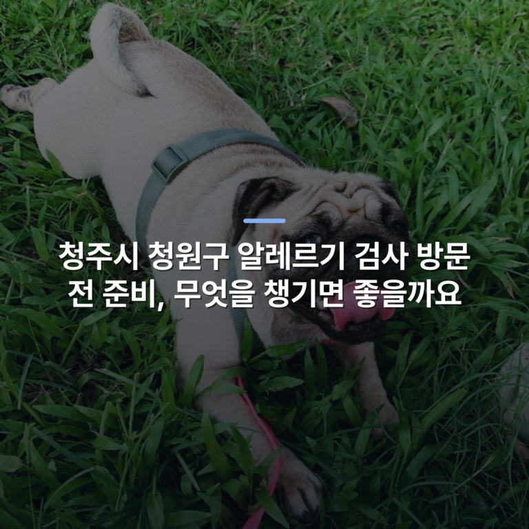 청주시 청원구 알레르기 검사 방문 전 준비, 무엇을 챙기면 좋을까요 · 사진: A cute pug dog in a harness enjoying a sunny day on lush green grass.